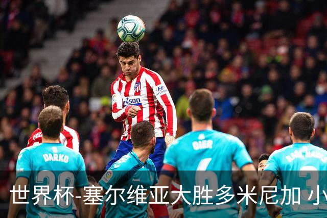 世界杯-塞尔维亚大胜多米尼加 小组第二进八强